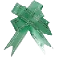 LACO PRONTO GRANDE 3X49CM VERDE C/10 - 16617