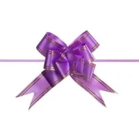 LACO PRONTO GRANDE 3X49CM ROXO C/10 - 17760