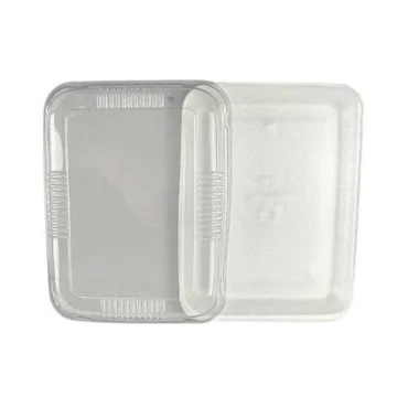 TAMPA PLÁSTICA PRATICPACK BANDEJA ISOPOR 2 COM 10 -3828 