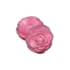  FLOR MÉDIA PINK COM 2 -10932