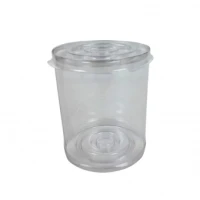 CAKE COVER CRISTAL FLIP 8X10CM -PCT C-5 FLIP - 15600