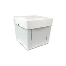 CAIXA 21X21X20 ULTRAFEST BOLO-UNI - 13955