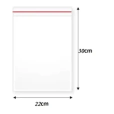 SACOS PL PP ADESIVADO 22X30CM C/FURO-100 - 10211