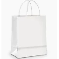 SACOLA PAPEL BRANCO P CROMUS C/10 21,5X15X8CM ALCA TORCIDA (PAPEL) - 14582