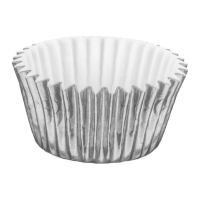 12273 - FORMINHA N6 LAMINADA PRATA REGINA COM 50